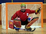 France v Switzerland