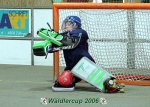 Waldlercup06_0541
