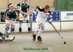 Waldlercup06_0179