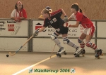 Waldlercup06_9928