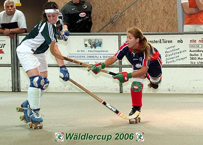 Waldlercup06_0313