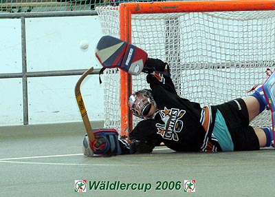 Waldlercup06_0112