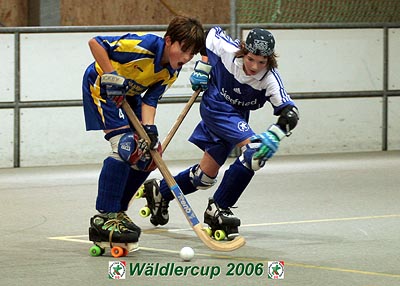 Waldlercup06_9832