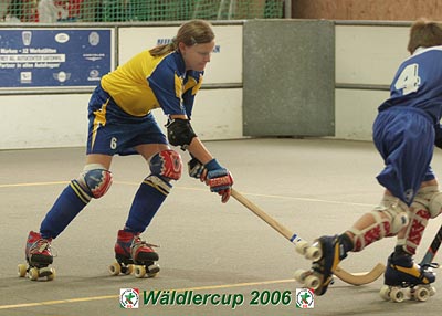 Waldlercup06_9884
