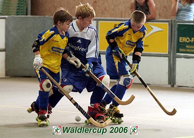 Waldlercup06_9902