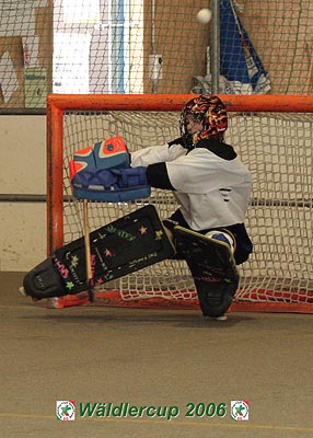 Waldlercup06_0414