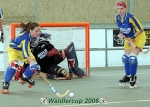 Waldlercup06_0507