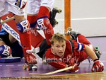 France v Suisse