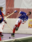 1EU17_07FraSwi_2014