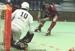 ai-RollerHockey