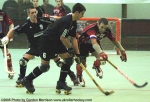 at-RollerHockey