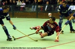 HockeySkate-aee